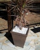 VASO EM MADEIRA PLASTICA - GRANDE